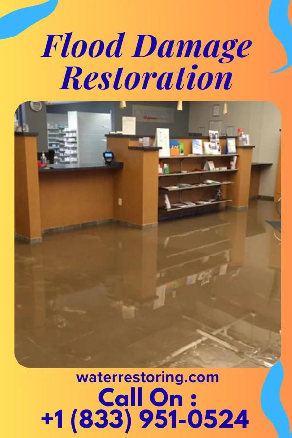 Flood Damage Restoration in Mililani Town, HI