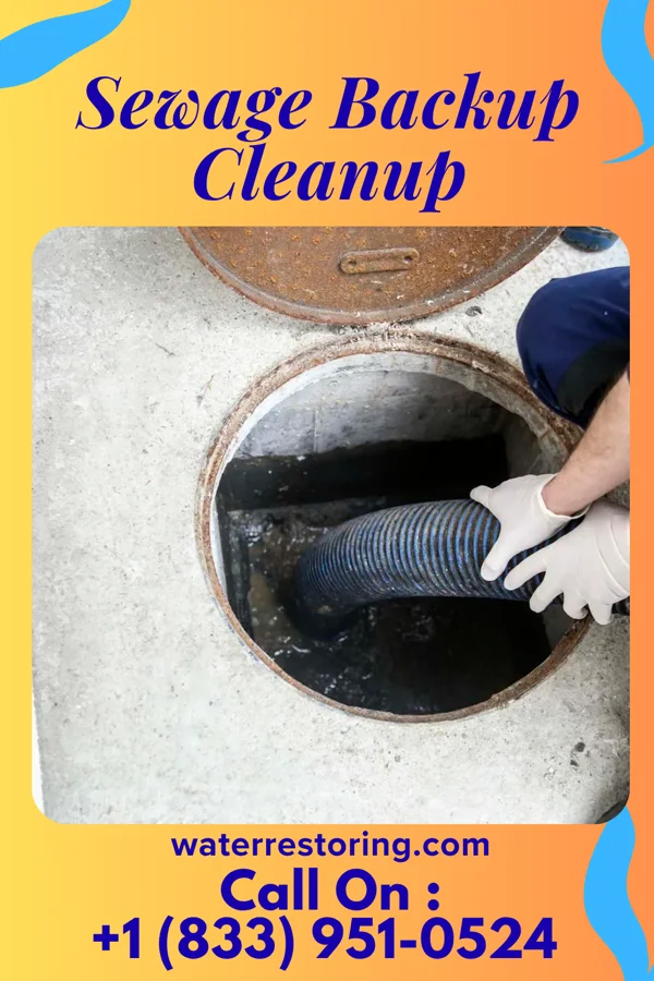 Sewage Backup Cleanup in Mililani Town, HI