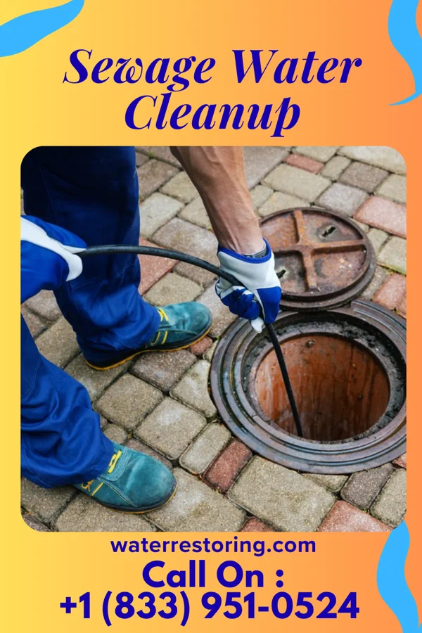 Sewage Water Cleanup in Mililani Town, HI