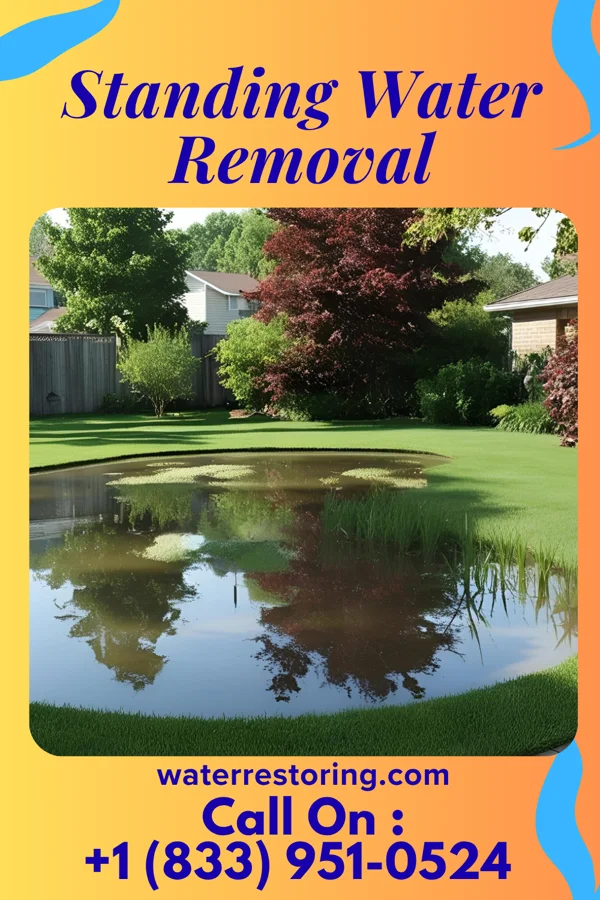 Standing Water Removal in Mililani Town, HI